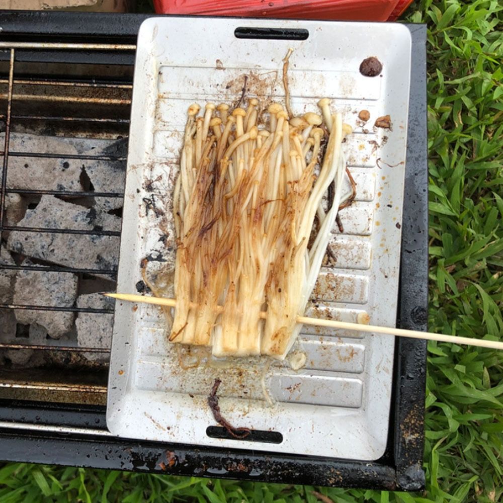 내구성이 뛰어난 티타늄 캠핑 그릴 팬 경량 논스틱 표면 - Camping Cooking Lightweight 리뷰 및 가격
